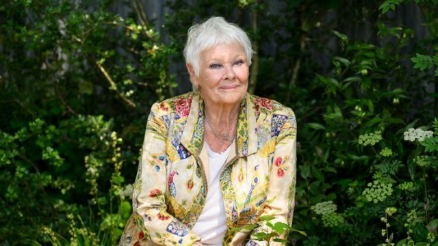 Actress Judi Dench To Stop Acting Over Poor Eyesight